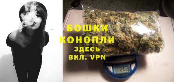 твердый Коряжма