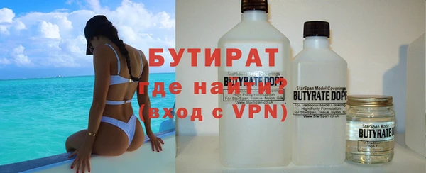 сатива Корсаков