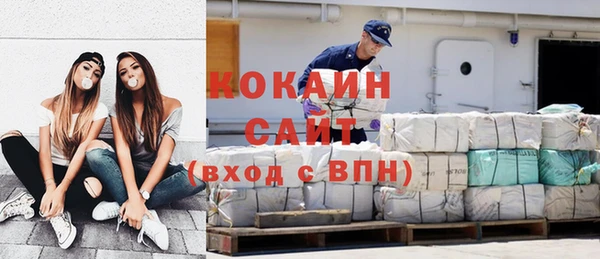 сатива Корсаков