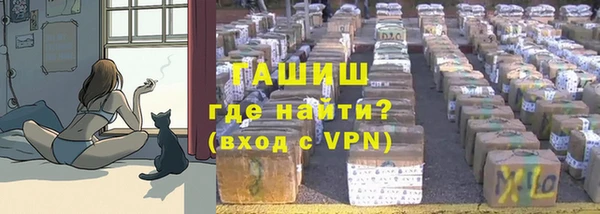 твердый Коряжма