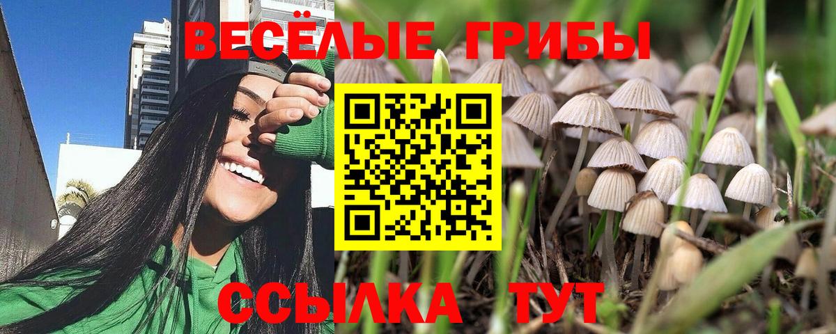 Галлюциногенные грибы MAGIC MUSHROOMS Белая Калитва