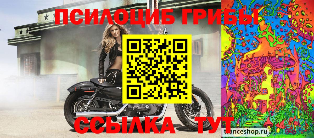 купить наркотик  Белая Калитва  Галлюциногенные грибы Magic Shrooms  Галлюциногенные грибы Psilocybe 