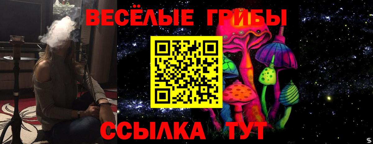 дарнет шоп  Галлюциногенные грибы мухоморы  Белая Калитва  Вход с VPN  Галлюциногенные грибы ЛСД 